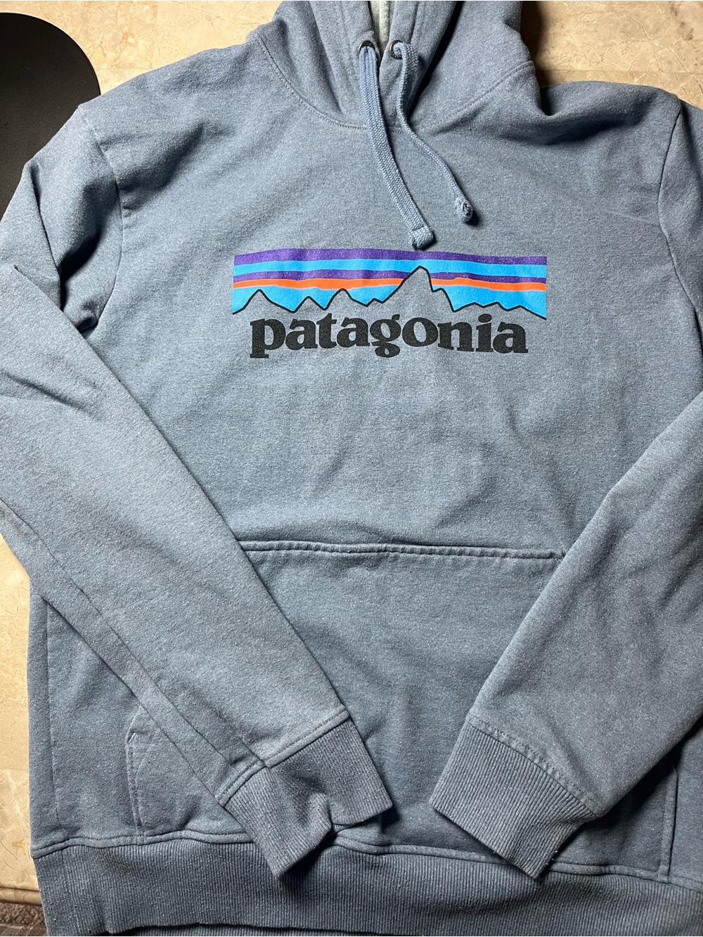 Patagonia Gray Pullover Hoodie with Multicolor Mountain Logo
